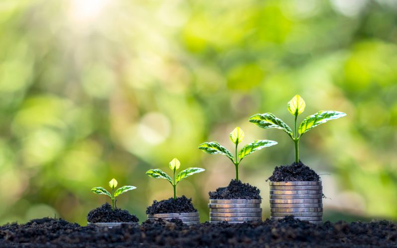 plant sprouts growing out of increasingly tall stacks of quarters