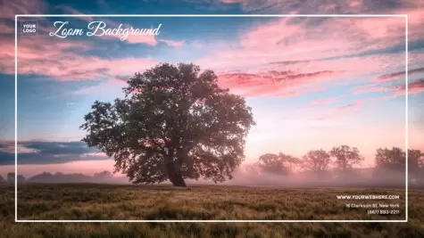 Edit a virtual background