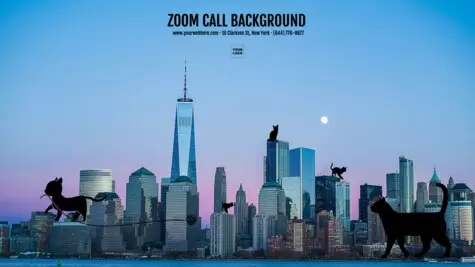 Edit a virtual background