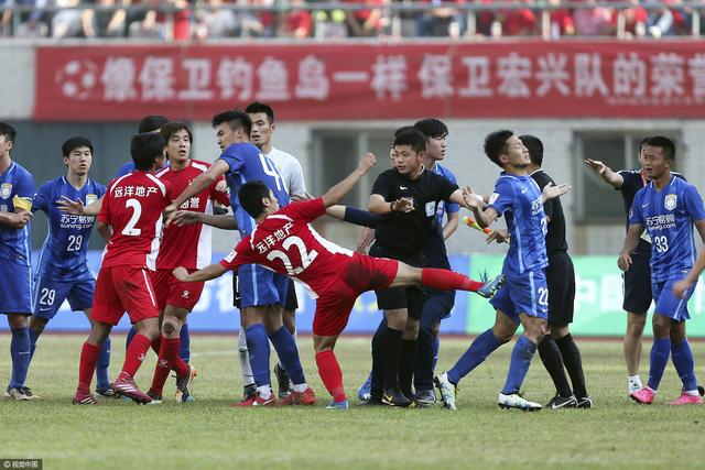 大象视频回家的领航