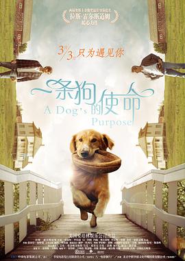 51吃瓜中心