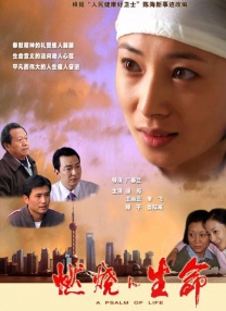 秘密教学 子豪