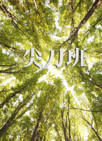 亚洲一区精品视频在线