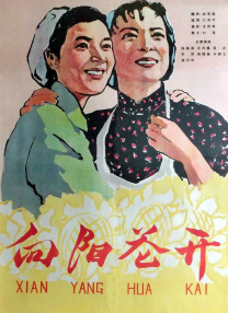老二次元